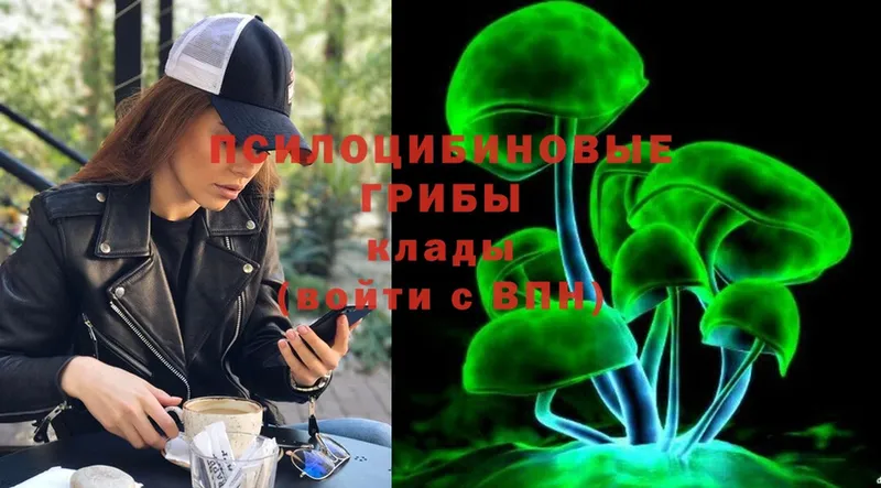 Галлюциногенные грибы Magic Shrooms  ссылка на мегу ONION  Каменск-Шахтинский  как найти наркотики 